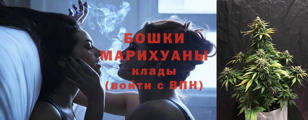 прущая мука Верея