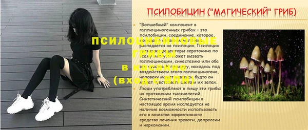 прущая мука Верея
